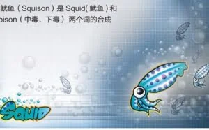 毒鱿鱼如何“黑”掉美国NSA的网站