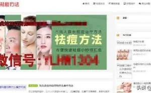 案例分享：网站自动化赚钱实操流程