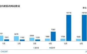 CNNIC第44次调查报告：网站安全和漏洞