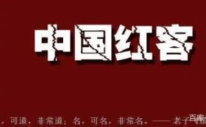 窃取1亿条公民信息只得两万块，中国红客：这一届的黑客不太行