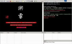 选择大于努力：一个程序猿的黑客梦