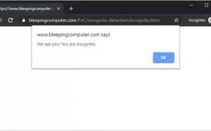 如何破解 Google Chrome 的隐身模式？