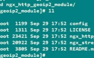 NGINX：nginx精准禁止特定国家或者地区IP访问
