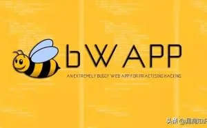 黑客是如何锻炼自己的技术？黑客训练基地 - bWAPP