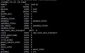 一文看懂Linux系统中的lsmod、lsof、lspci、lsscsi命令