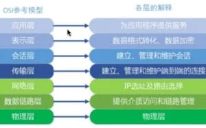 OSI网络七层模型介绍