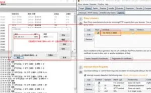来看黑客是如何使用Proxifier+burpsuite代理https协议数据包