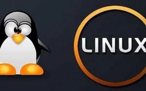 100 道 Linux 笔试题，做完你就准备入职吧