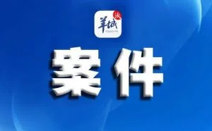 8人团伙被抓！安全技术人员变身黑客，专黑金融网站数据库