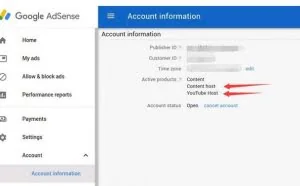 youtube获取收益的重要工具：Google adsense