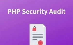 Versionscan：一款专为白帽子设计的PHP漏洞扫描报告工具