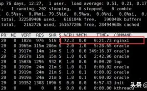 真实案例记录Linux被植入rootkit导致服务器带宽跑满的解决过程