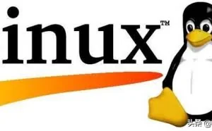 Linux又爆高危漏洞，黑客可利用sudo获得Linux root权限