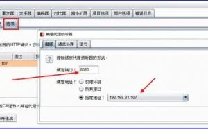 常用的Web抓包Brup Suite三大入门模块——代理、爬虫、编码详解