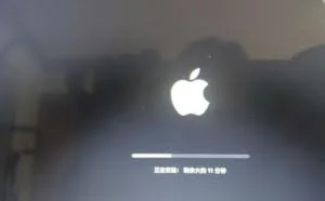 黑苹果5s任意版本免越狱降级ios10.3.3