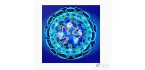 网络安全：“变态”的恶意软件Coronavirus