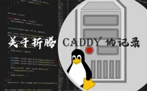 关于折腾Caddy的记录