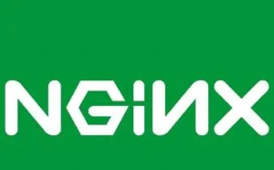 十八般武艺之Nginx踩坑总结