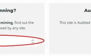 一个可以检索域名公开信息的小技巧