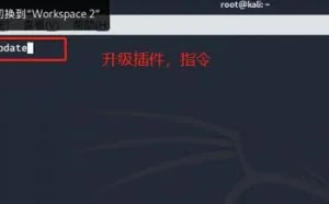 黑客工具之nikto使用教程
