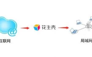 没有公网IP，花生壳+SSH实现Windows连接远程Linux执行命令