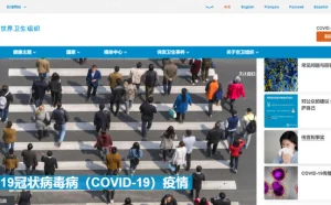 钓鱼软件 200 美元/套，黑帽黑客靠疫情发大财