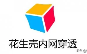 无须公网IP，0基础内网穿透搭建个人网站
