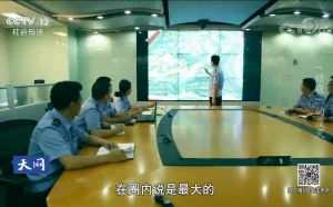 最高检指导案例之跨境黑客案的有效辩护