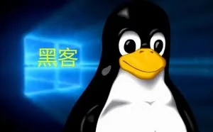 如何判断Linux系统是否被黑客入侵？可以用这种方法