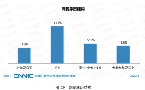 中国网民分析：58.3%高中以下学历 6.5亿网民月收入不足5000元