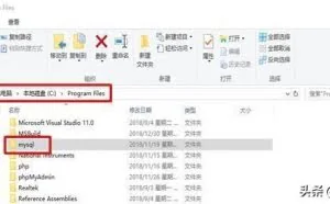 IIS+MySQL+PHP+Phpmyadmin配置Web站点之Mysql安装