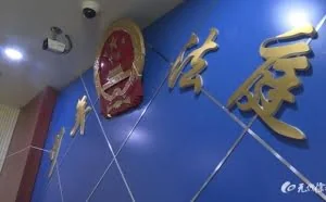 DDOS非法攻击网站 一未成年黑客获刑
