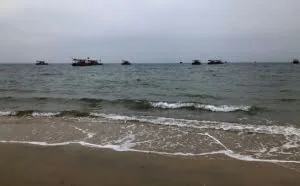 听说工资很高，我应聘到柬埔寨“种菠菜”，结果很意外......