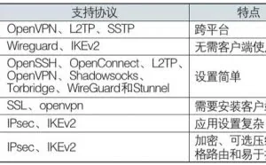 案例：VPN破网技术及取证研究