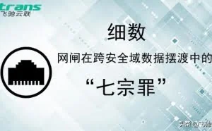 细数网闸在跨安全域数据摆渡中的“七宗罪”
