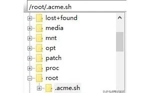 使用acme.sh生成https 免费证书 支持多级域名