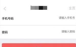 H5页面漏洞挖掘之路-加密篇