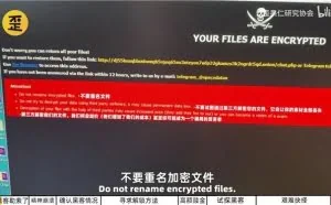 B 站 UP 主歪果仁研究协会素材被黑客加密
