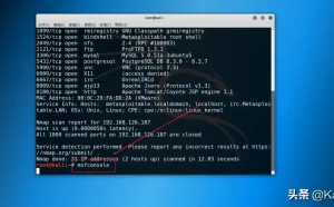 白帽黑客教你Kali Linux：数据库密码脆弱性攻防演练下