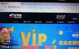 台州市公安局打掉黑客团伙，该团伙因网络赌博输了钱再去用漏洞去盈利