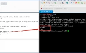 PHP-8.1.0-dev 后门命令执行漏洞复现