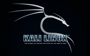 Kali Linux - 渗透测试工程师必备系统