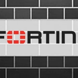 上万台Fortinet VPN设备登录凭证泄露：超一成位于中国