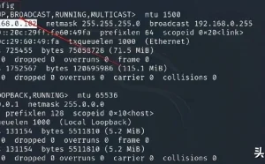 白帽黑客如何使用Netdiscover进行网络主机扫描？