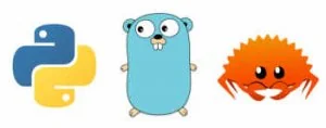 猿哥：简单谈谈新生代语言Python、Go、Rust的选择