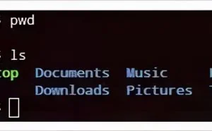 29 条运维工程师必会实用 Linux 命令