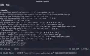Kali Linux 2021.4a安装并配置Golang环境