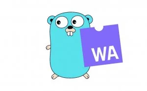 Go WASM 从零开始
