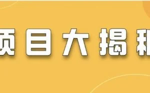 互联网项目大揭秘：推广类、无货源、选品、虚拟产品、微商、好物、带货、视频号...