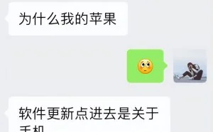 网友某转买的iPhone11有隐藏ID，软件更新点进去是关于本机